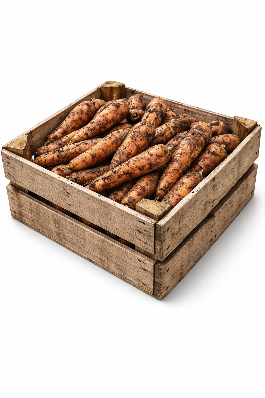 CAROTTES BIO NON LAVEES 8KG