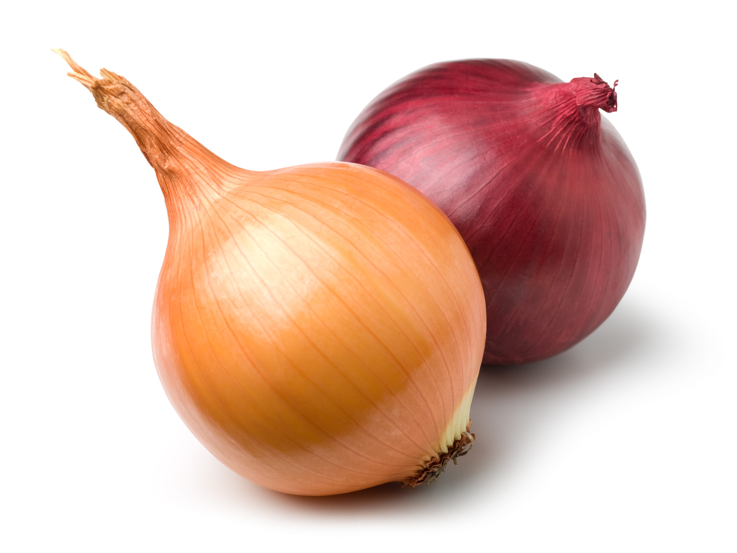 Produits de la ferme